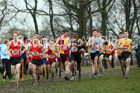Senior boys 2019 New Balance English Schools Cross Country Champs, Temple Newsam, Leeds. Photo:  David T. Hewitson/Sports for All Pics